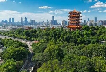 大象文化传媒-探索大象文化传媒，传统与现代的交融